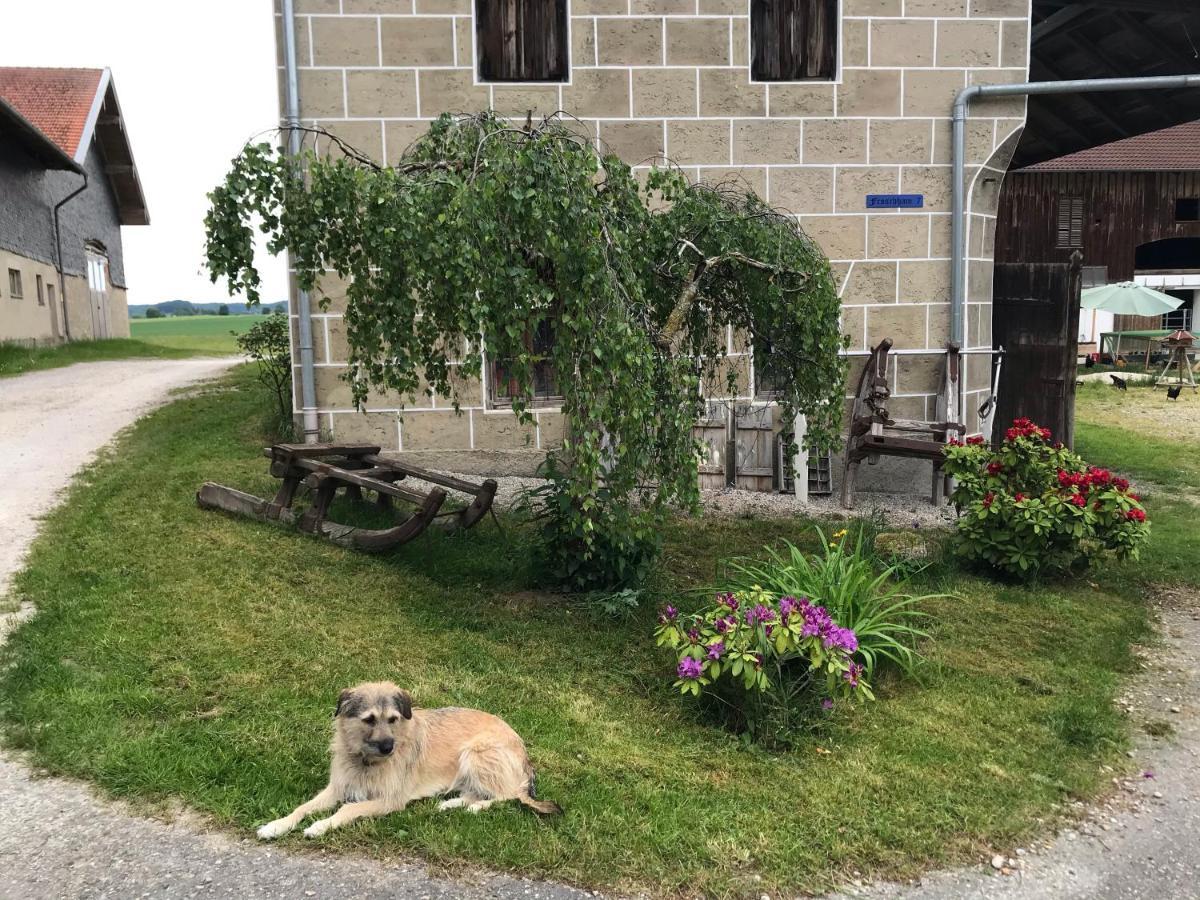 Pferdehof Dietzsch, Tittmoning Kültér fotó